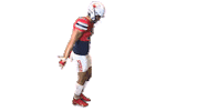Gio G13 Sticker by Richmond Spiders