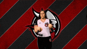 Minnesota Softball GIF by Bethany Lutheran College