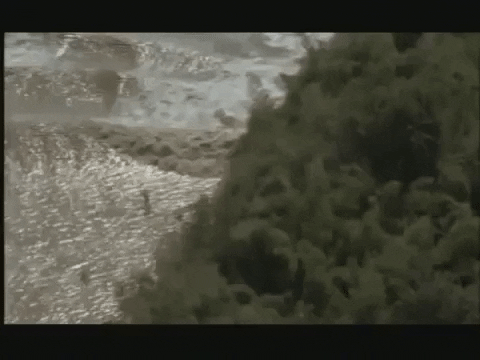 pororoca wave GIF
