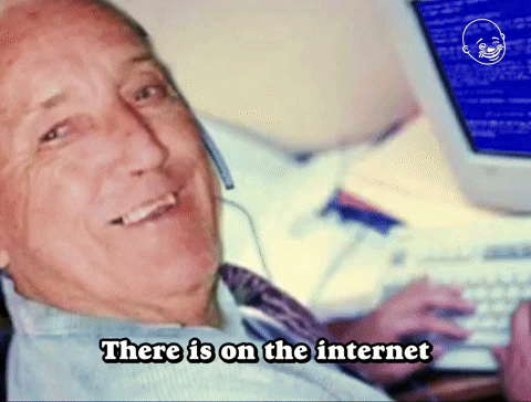 Trolls On The Internet