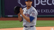Happy Ny Mets GIF by New York Mets