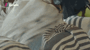 Royalty What GIF by Showmax