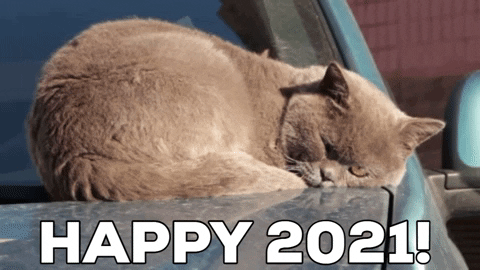 Video gif. A brown cat sleeping peacefully opens its eyes glaring slightly. The text below reads, “Happy 2021!”