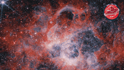James Webb Stars GIF by ESA Webb Space Telescope