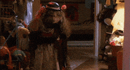 work out cats GIF