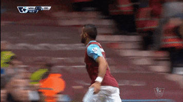 premier league soccer GIF by West Ham United