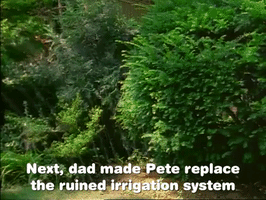 season 2 GIF