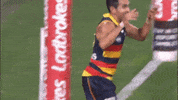adelaidecrows 2019 handshake afl adelaide crows GIF