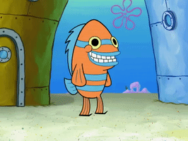 season 8 GIF by SpongeBob SquarePants