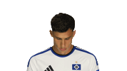 Look Up Hamburger Sv Sticker by Bundesliga