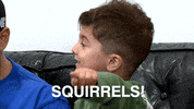 Squirrel Toddler GIF by Gogglebox Australia
