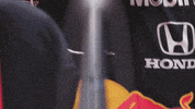 redbullracing car racing race 2019 GIF