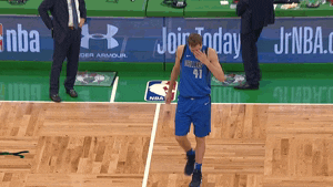 dirk nowitzki team story GIF by NBA