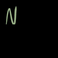 poppillustration new post poppillustration GIF