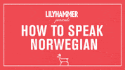 GIF by Lilyhammer