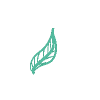 Leaf Sticker