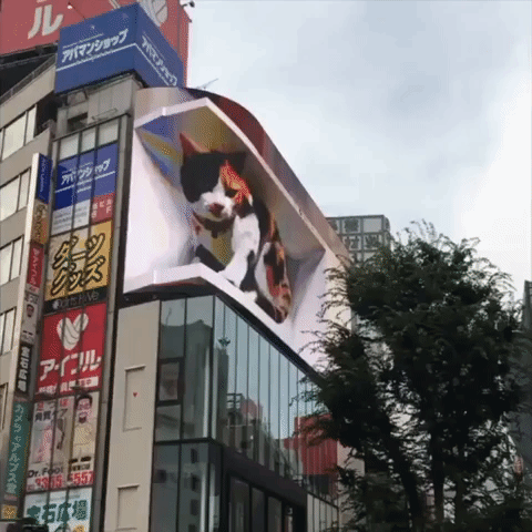 Giant 3D Cat Appears on Tokyo Billboard