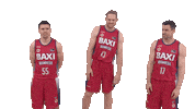 Liga Endesa Win Sticker by ACB