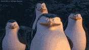 GIF by Pottencial Seguradora S.A.