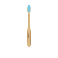 Brushboo smile vegan panda planet Sticker