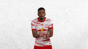 Motivate Come On GIF by RB Leipzig