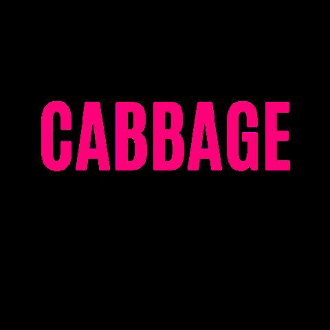 Cabbagepatchbakery giphygifmaker cabbage cabbage patch cabbagepatch GIF