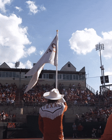 Softball GIF by Texas Longhorns