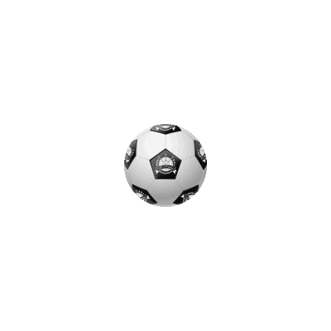 Real Madrid Soccer Sticker by Cafe 't Viaduct