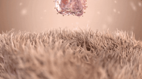 franciscosanchezcazeres giphyupload GIF