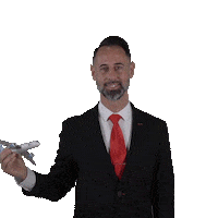 Cabin Crew Plane Sticker by Iberojet