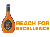 Karl Kani Drink Sticker by E&J Brandy