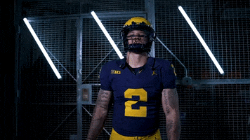 Go Blue GIF by Michigan Athletics