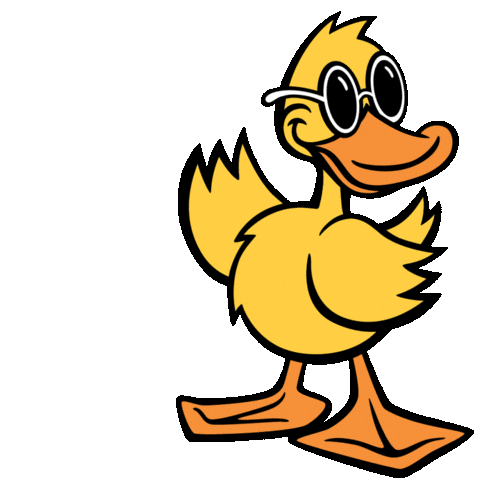 Car Wash Duck Sticker by Quick Quack