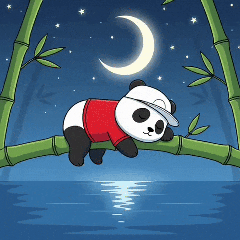 Good Night Sleep GIF by Pandu Pandas