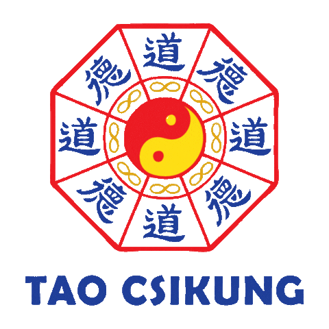 Csikung Sticker by True Basketball Training