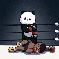 Combat Sports Fighter Stance GIF by Kanpai Pandas
