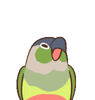 Happy Wave Sticker by A Budgie's Life