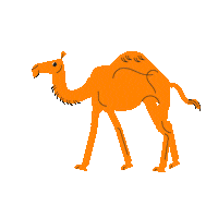 المتحف الوطني Sticker by Zayed National Museum