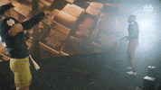 Celebration Handshake GIF by Notre Dame Fighting Irish