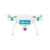 TorchlightCRTeam drone トーチライト シェルパ Sticker