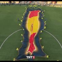 World Cup 2026 Celebration GIF by TRT