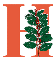 yerbaverdeflor flower flowers argentina flores Sticker