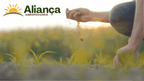 alianca-agropecuaria giphygifmaker agro terra soil GIF