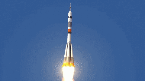 salescharm giphyupload GIF