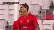 Frustration Darwin GIF by Sport Lisboa e Benfica