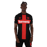 Posing Bayer 04 Sticker by Bayer 04 Leverkusen