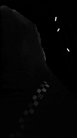 Dance Art GIF