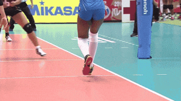 Celebrate Go For It GIF by Volleyball World