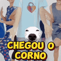 O GIF