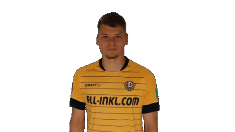 Goal Celebrate Sticker by SG Dynamo Dresden